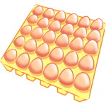 30 Fresh Eggs