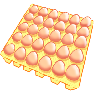 30 Fresh Eggs