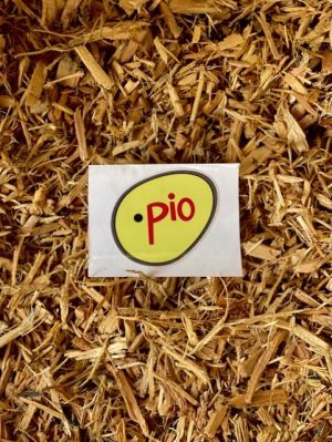 Punto Pio Sticker (2 - Pack)